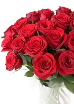 Imagen PNG para descargar